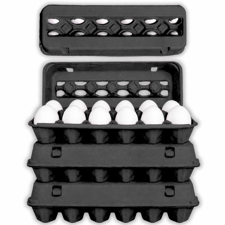 Egg Cartons
