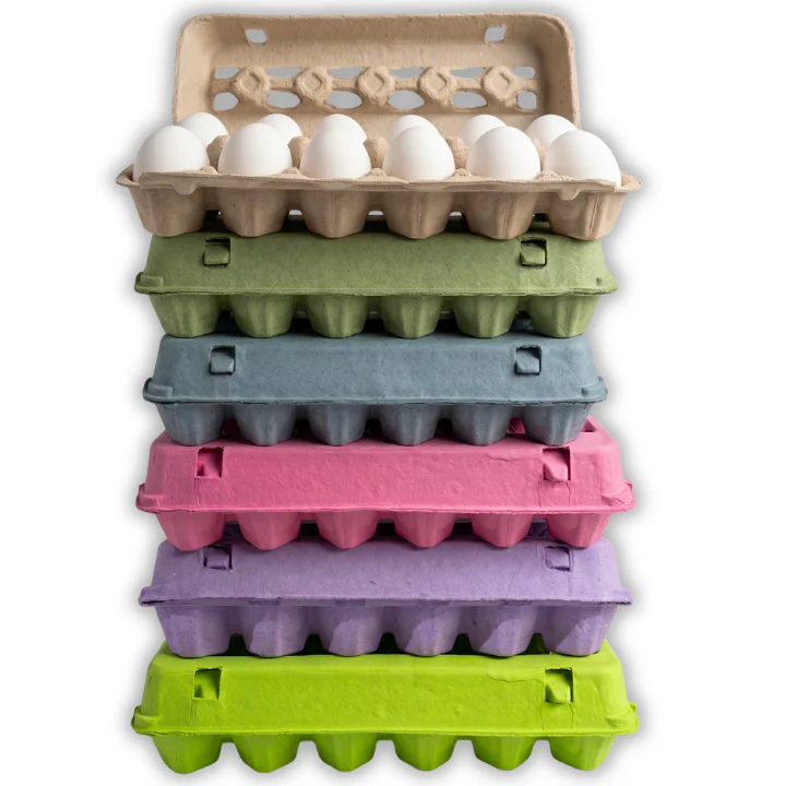 Colored Egg Cartons